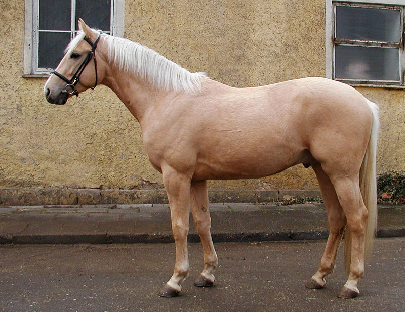 kunkinsky2.jpg
