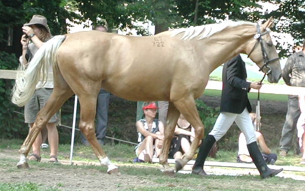 kunkinsky4.jpg