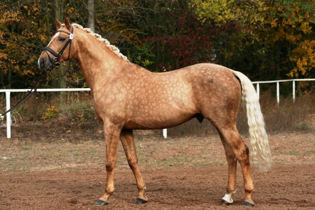 kunkinsky7.jpg